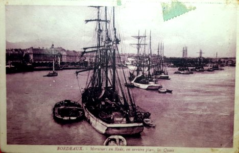 Bordeaux - Morutiers 4
