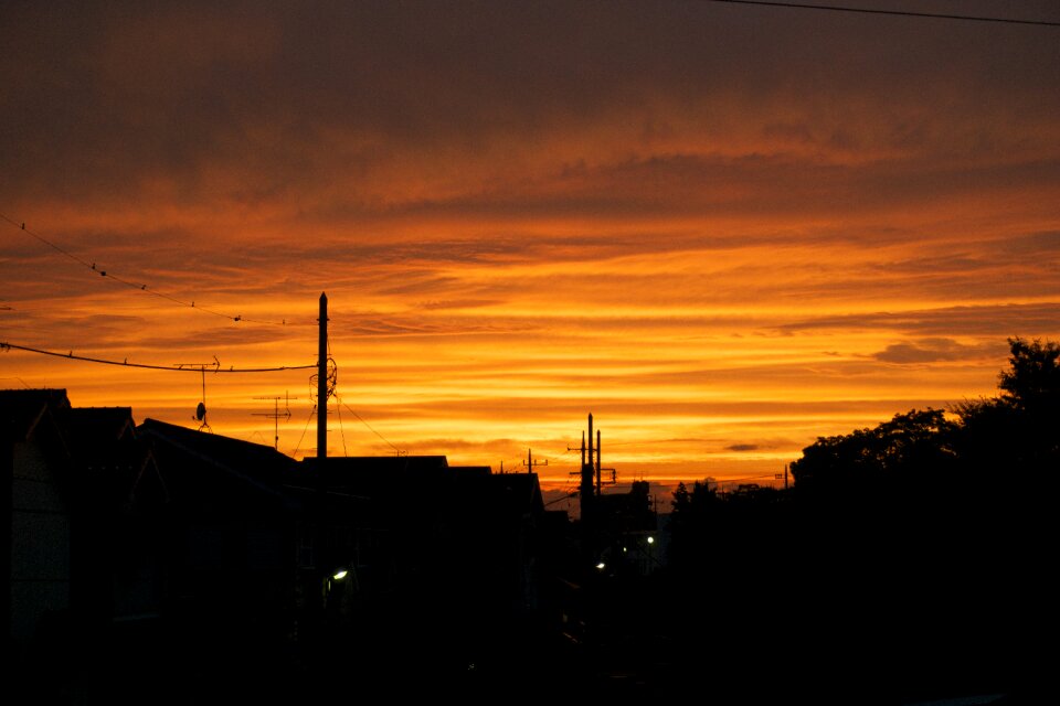 Any person not night twilight