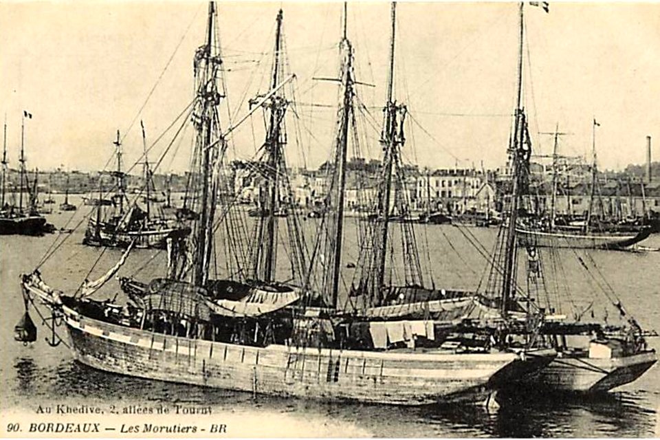 Bordeaux - Morutier 1