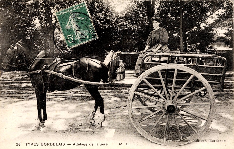 Bordeaux - Types bordelais 26 - Attelage de laitière