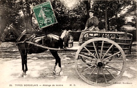 Bordeaux - Types bordelais 26 - Attelage de laitière