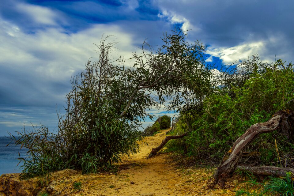 Seashore landscape sky