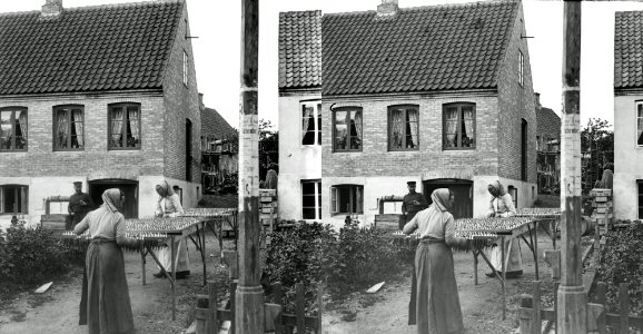 Bornholm, rygning af sild, 1901-1922