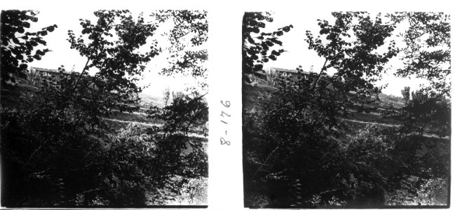Bosc amb casa al fons a Sant Hilari Sacalm