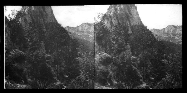 Bosc de Nostra Senyora de Queralt