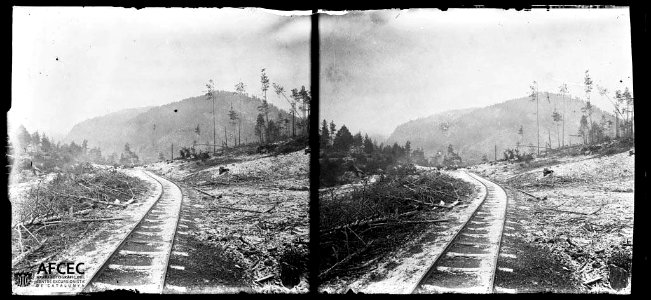 Bosc tallat i al mig la via del ferrocarril a les Canals de Catllarí
