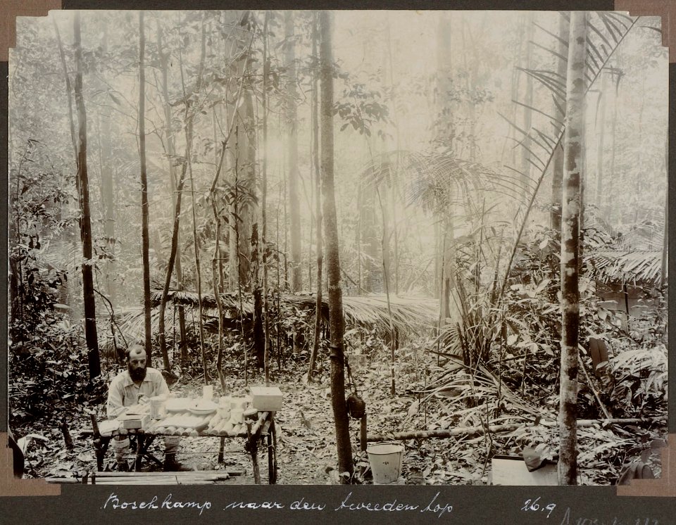 Boschkamp naar den tweeden top. G.M. Versteeg (26 September)