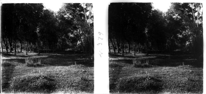 Bosquet de Molins de Rei