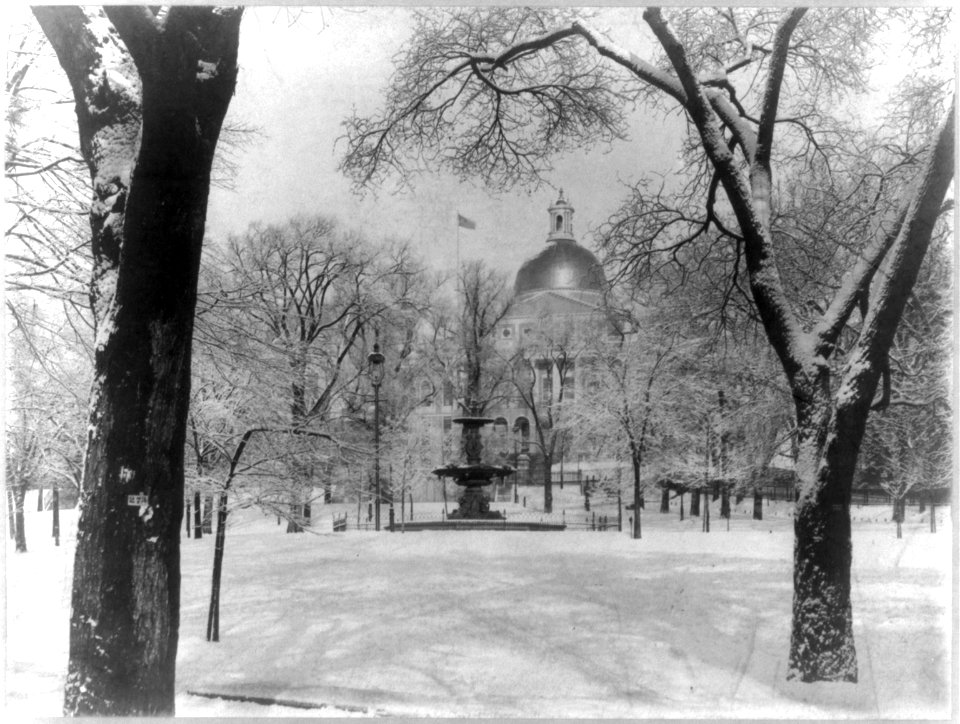 Boston Common after snowfall LCCN2002714990