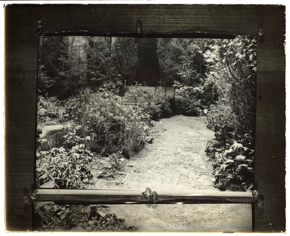 Boston Horticultural Society Exhibition, Horticultural Hall, Massachusetts Avenue, Boston, Massachusetts. Wildflower exhibition garden LCCN2008676022