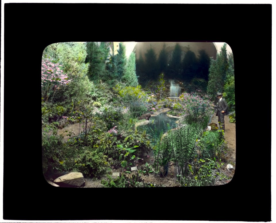 Boston Horticultural Society Exhibition, Horticultural Hall, Massachusetts Avenue, Boston, Massachusetts. Wildflower exhibition garden LCCN2008675866