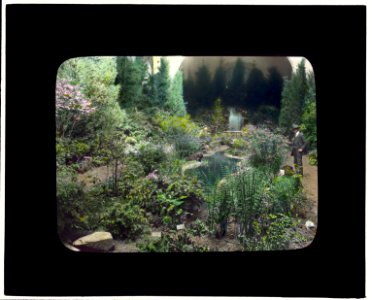 Boston Horticultural Society Exhibition, Horticultural Hall, Massachusetts Avenue, Boston, Massachusetts. Wildflower exhibition garden LCCN2008675866