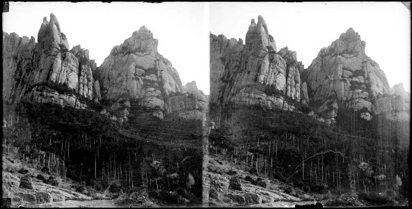 Bosc i muntanya de Montserrat (AFCEC BORDAS D 4367)