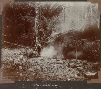 Boschkamp