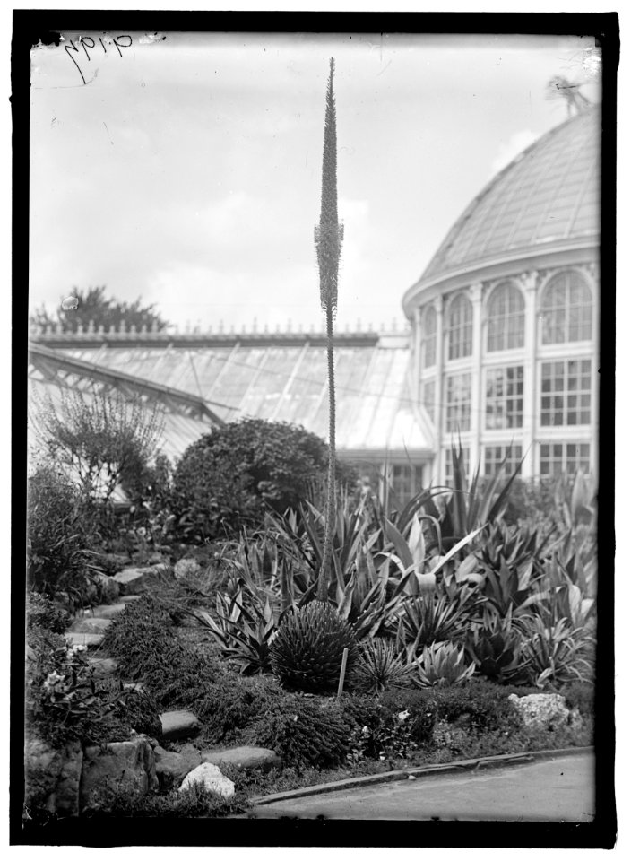BOTANICAL GARDENS LCCN2016868149