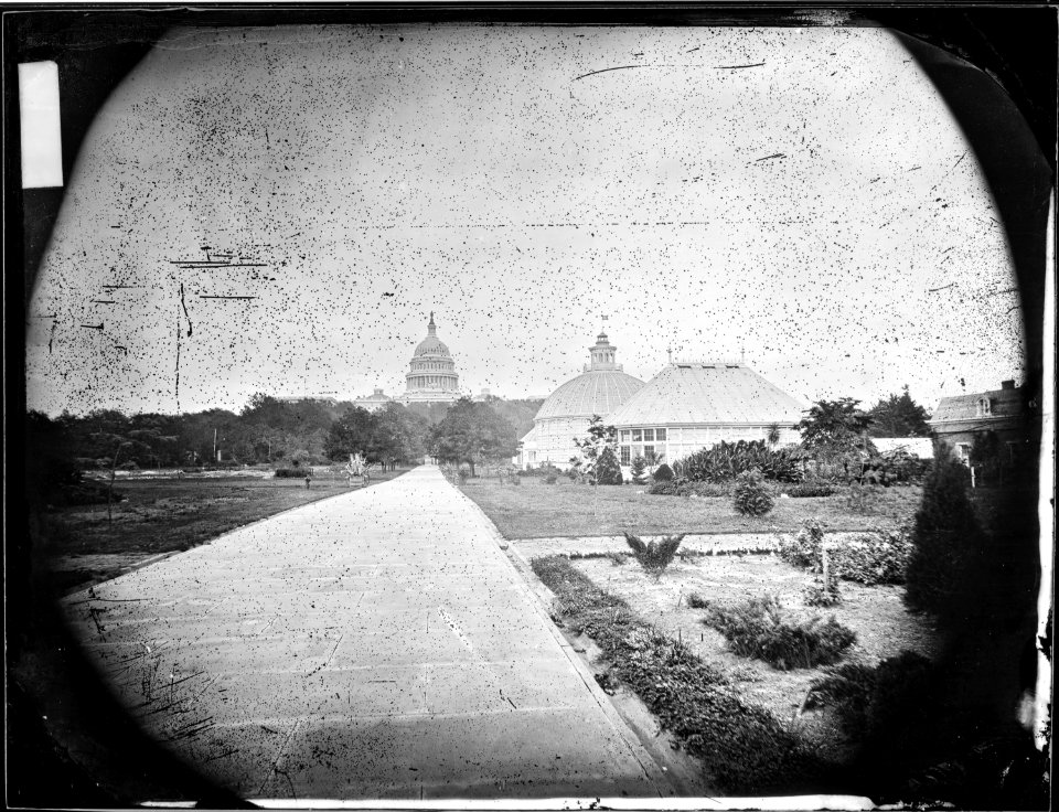 Botanical Gardens, Washington D.C. (4271534789)