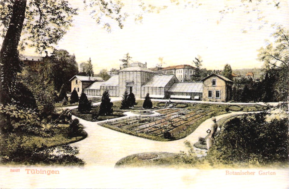 Botanischer Garten Tübingen (AK Gebr. Metz 1916 TPk098)