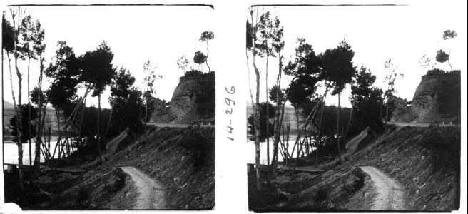 Bosquet de Sant Vicenç de Castellet