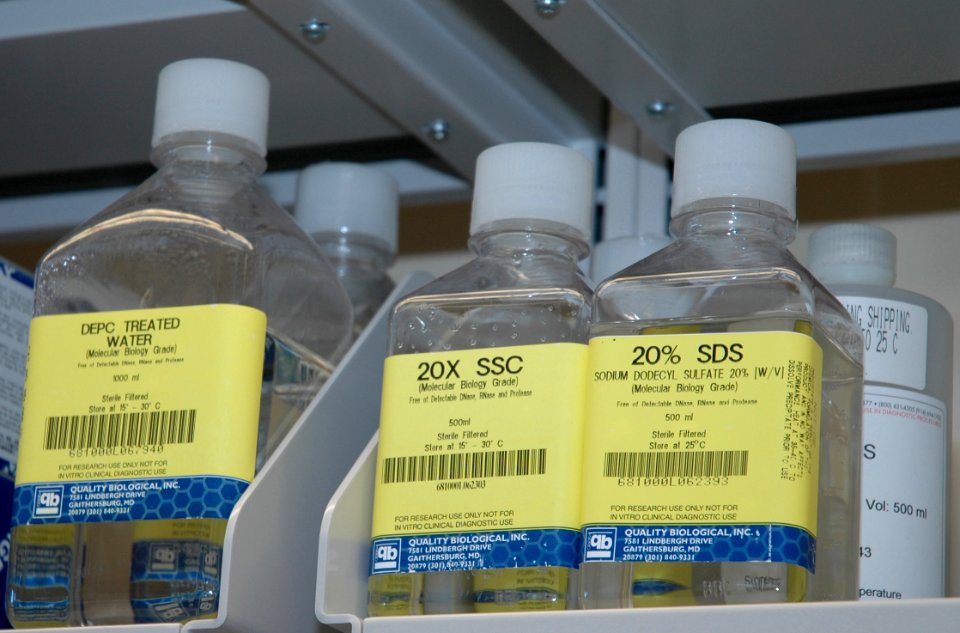 Bottles in laboratory