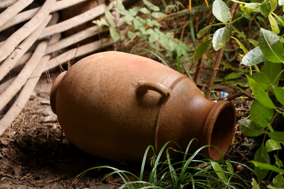 Decoration symbol grass