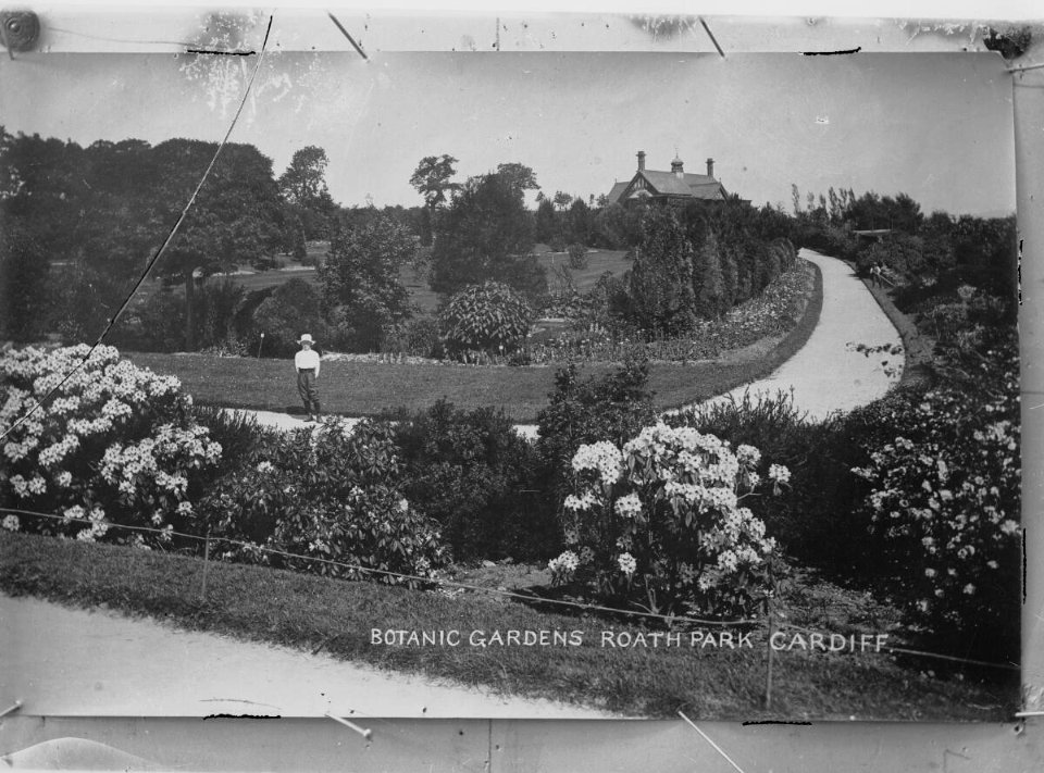 Botanic Gardens, Roath Park, Cardiff (4641248)