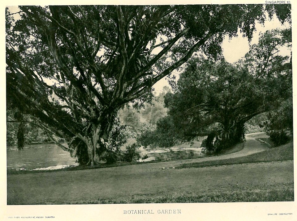 Botanical Garden