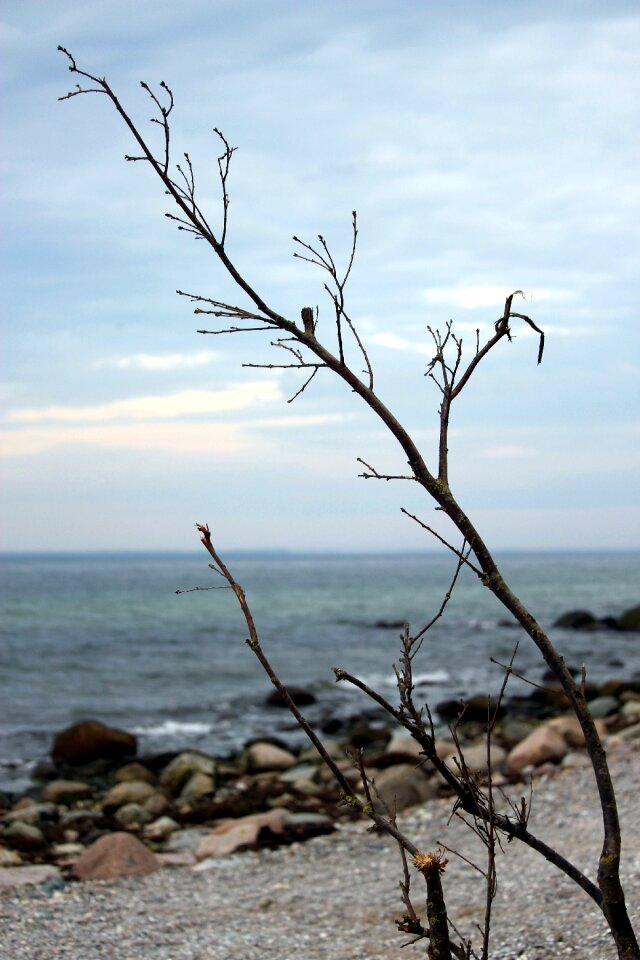 Coast beach landscape grömitz