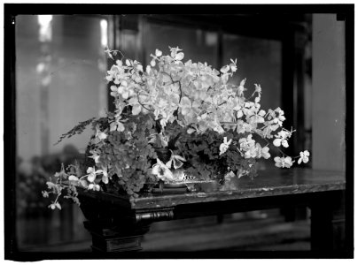 BOUQUET LOC hec.03429