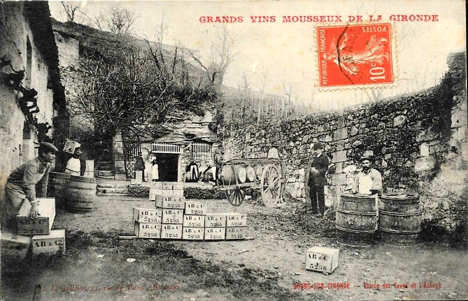 Bourg - Travail vinicole 4