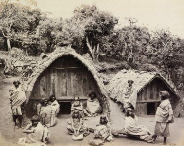 Bourne, Samuel - Bergbauern vom Stamm der Todas in Südindien (Zeno Fotografie)