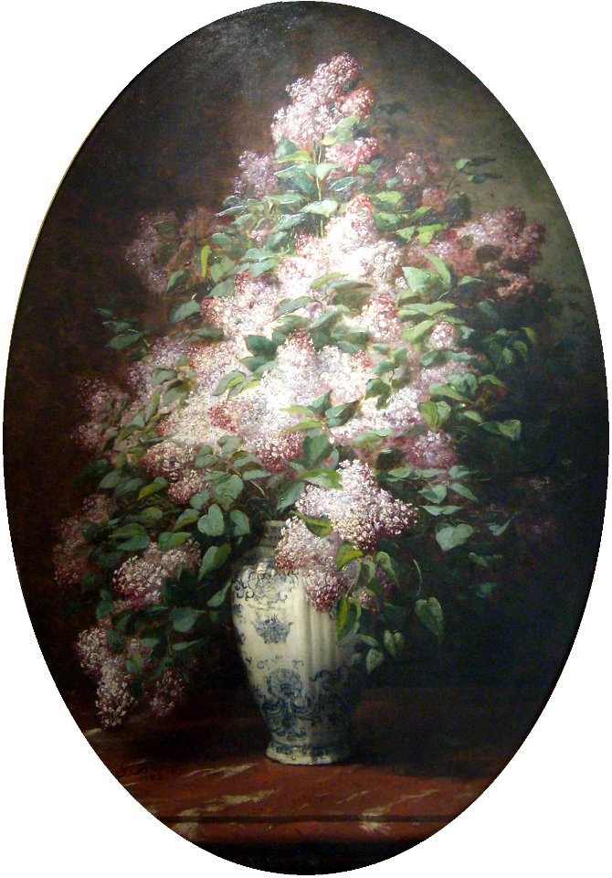 Bouquet de Lilas, Fouace