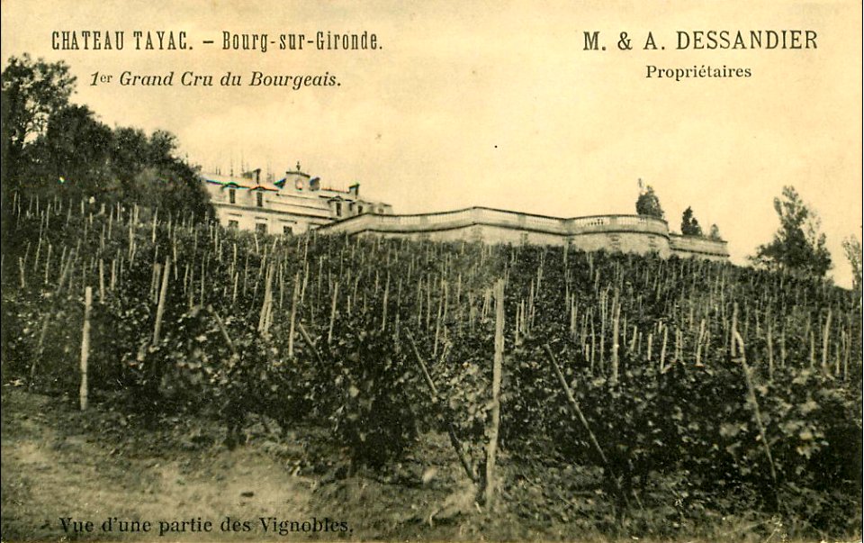 Bourg - château Tayac 3