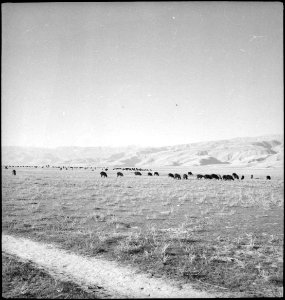 CH-NB - Afghanistan- Landschaft - Annemarie Schwarzenbach - SLA-Schwarzenbach-A-5-21-211