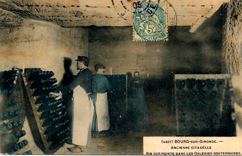 Bourg - Travail vinicole 1