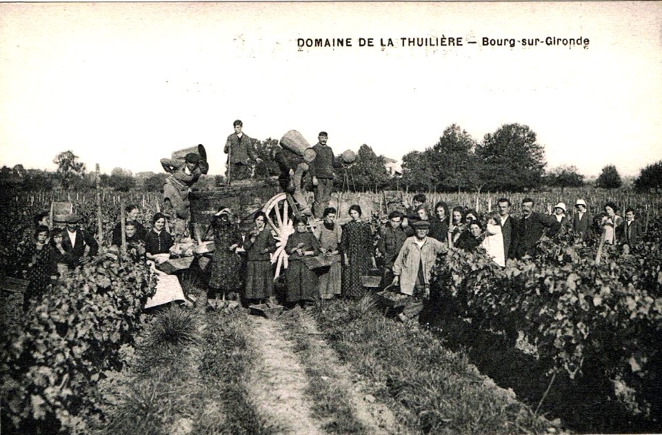 Bourg - Vendanges 2