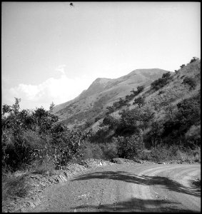 CH-NB - Belgisch-Kongo, Beni- Landschaft - Annemarie Schwarzenbach - SLA-Schwarzenbach-A-5-25-197