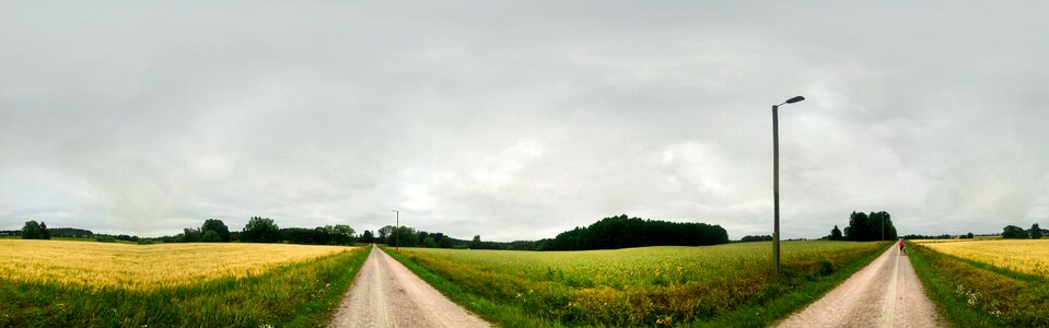Landscape agricultural rural