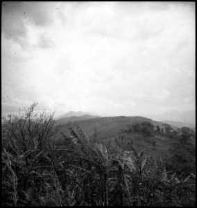 CH-NB - Belgisch-Kongo, Beni- Landschaft - Annemarie Schwarzenbach - SLA-Schwarzenbach-A-5-25-193