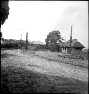 CH-NB - Belgisch-Kongo, Butembo- Landschaft - Annemarie Schwarzenbach - SLA-Schwarzenbach-A-5-25-176