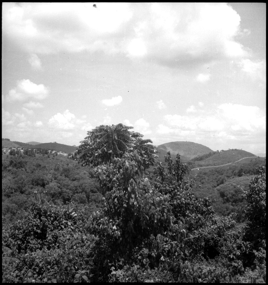 CH-NB - Belgisch-Kongo, Beni- Landschaft - Annemarie Schwarzenbach - SLA-Schwarzenbach-A-5-25-194