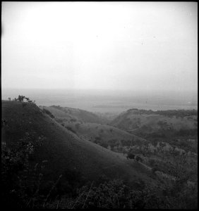 CH-NB - Belgisch-Kongo, Beni- Landschaft - Annemarie Schwarzenbach - SLA-Schwarzenbach-A-5-25-199