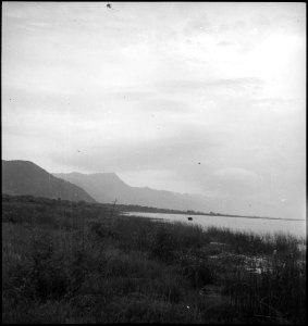 CH-NB - Belgisch-Kongo, Eduardsee- Landschaft - Annemarie Schwarzenbach - SLA-Schwarzenbach-A-5-25-215