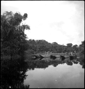 CH-NB - Belgisch-Kongo, Fluss Jturi (Aruwimi)- Landschaft - Annemarie Schwarzenbach - SLA-Schwarzenbach-A-5-25-105