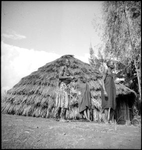CH-NB - Belgisch-Kongo, Kivu- Dorfansicht - Annemarie Schwarzenbach - SLA-Schwarzenbach-A-5-25-126