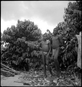CH-NB - Belgisch-Kongo, Molanda (Malanda)- Menschen - Annemarie Schwarzenbach - SLA-Schwarzenbach-A-5-25-092