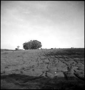 CH-NB - Belgisch-Kongo, Nioka- Landschaft - Annemarie Schwarzenbach - SLA-Schwarzenbach-A-5-25-218