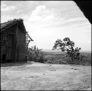 CH-NB - Belgisch-Kongo, bei Thysville (Mbanza Ngungu)- Landschaft - Annemarie Schwarzenbach - SLA-Schwarzenbach-A-5-26-055