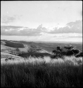 CH-NB - Belgisch-Kongo, bei Thysville (Mbanza Ngungu)- Landschaft - Annemarie Schwarzenbach - SLA-Schwarzenbach-A-5-26-061