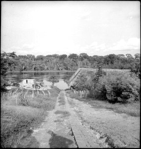 CH-NB - Belgisch-Kongo, Molanda (Malanda)- Landschaft - Annemarie Schwarzenbach - SLA-Schwarzenbach-A-5-25-060