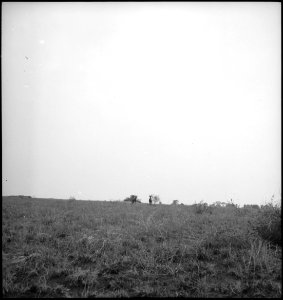 CH-NB - Belgisch-Kongo, Parc National Albert (Parc National des Virunga)- Landschaft - Annemarie Schwarzenbach - SLA-Schwarzenbach-A-5-25-209